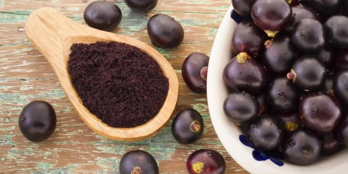 le fruit d'açai d'amazon (euterpe oleracea)