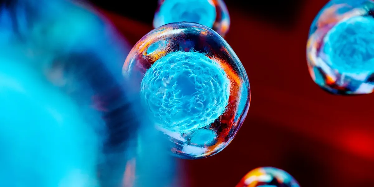 creative image of embryonic stem cells, cellular therapy, 3d illustration