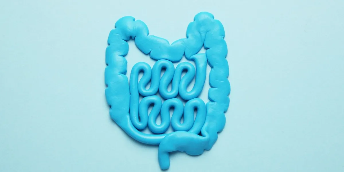 intestines and pills, probiotics, antibiotics gut protection, recovery from illness and treatment