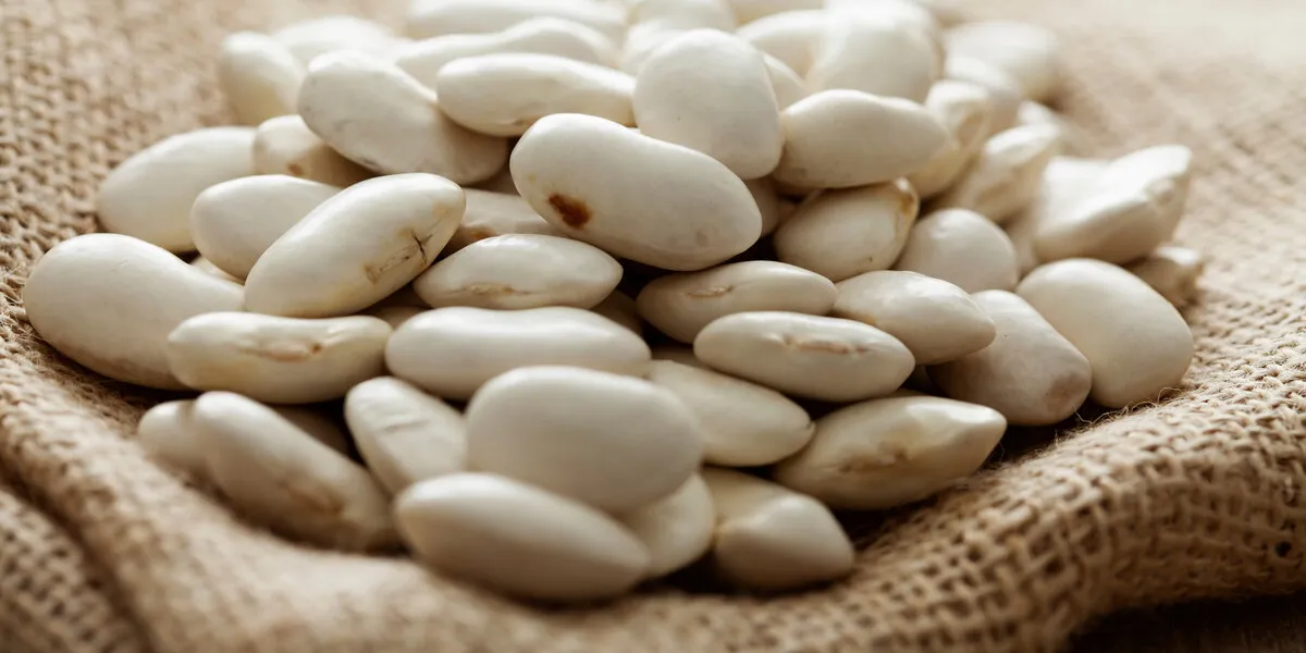 bowl of white giant beans