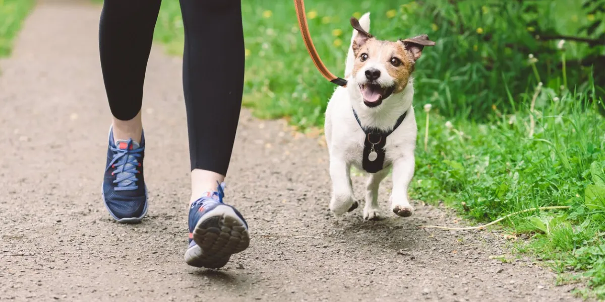 woman running with dog to workout during morning walk