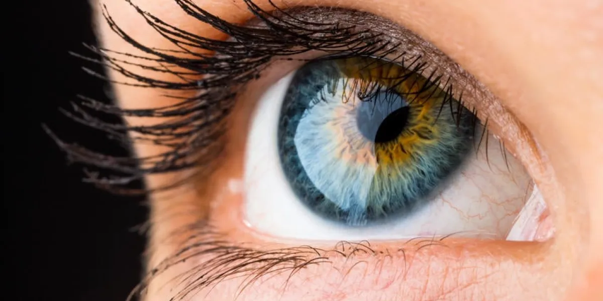 belle macro d'un oeil en levant