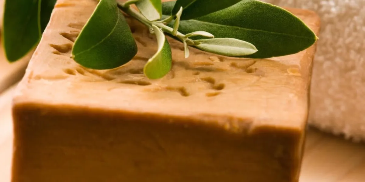 savon d'olive naturel avec branche fraîche