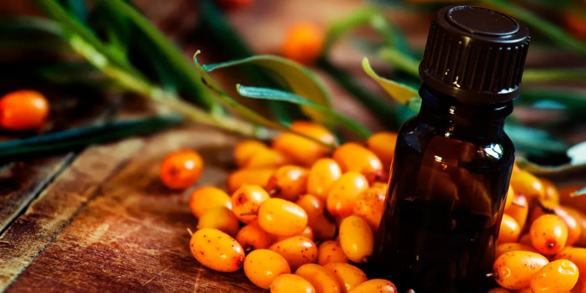 huile essentielle d'argousier, petite bouteille brune et baies fraîches épars fond de bois vintage, mise au point sélective