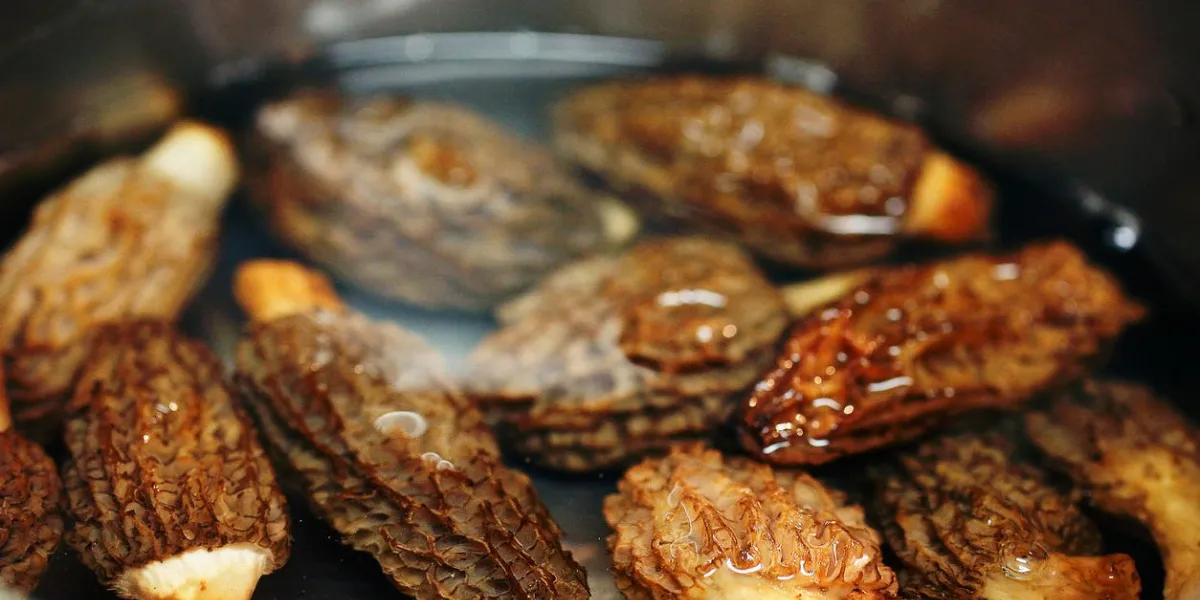 rinsing (soaking) morel mushrooms