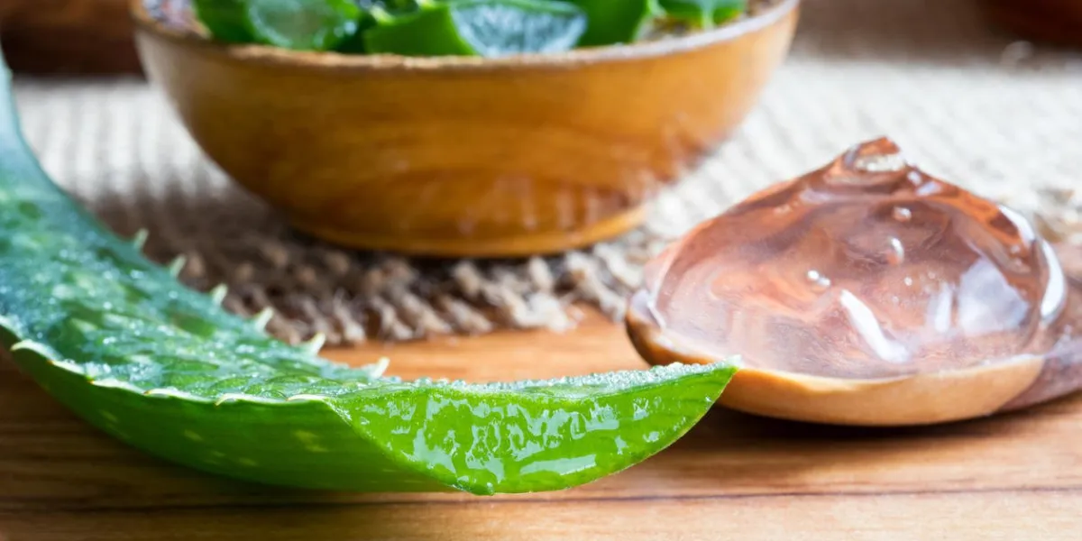 aloe vera leaf, with aloe vera gel and slices in the background