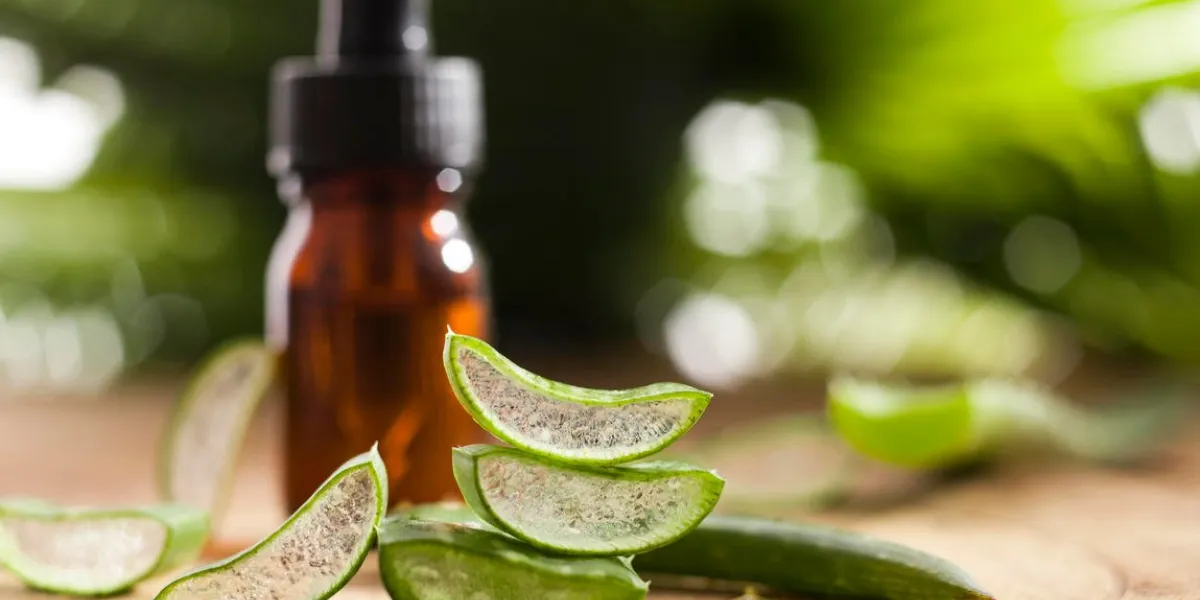 huile essentielle d'aloe vera sur fond de feuilles tropicales