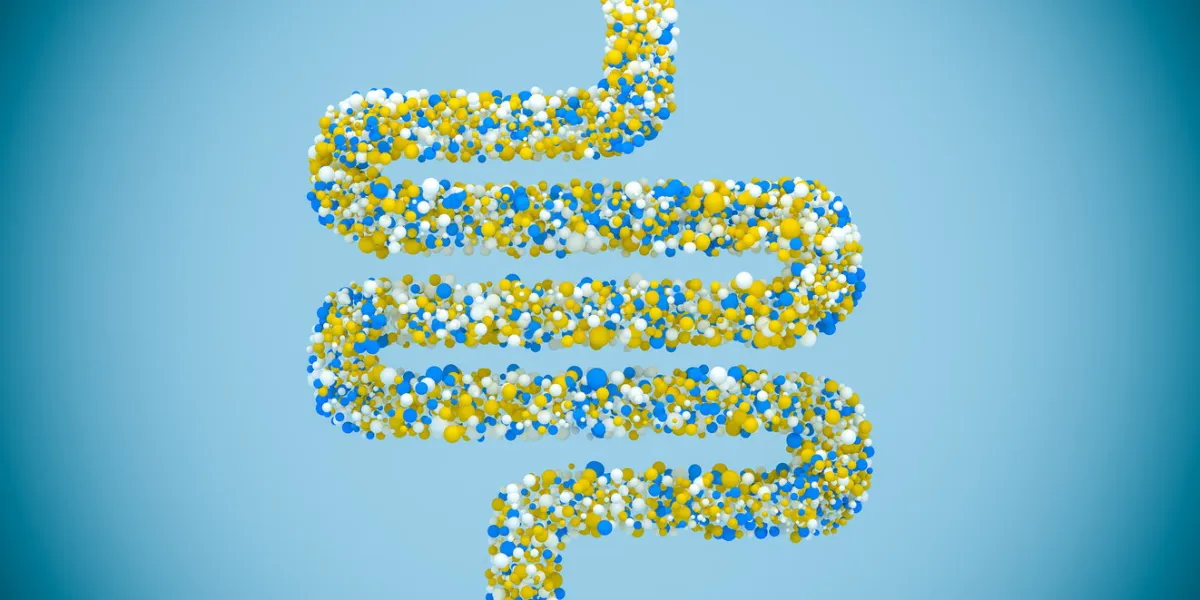 bacteria inside the large intestine, concept, representation 3d illustration