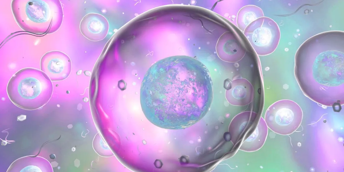 cellules humaines ou animales sur fond coloré, illustration 3d