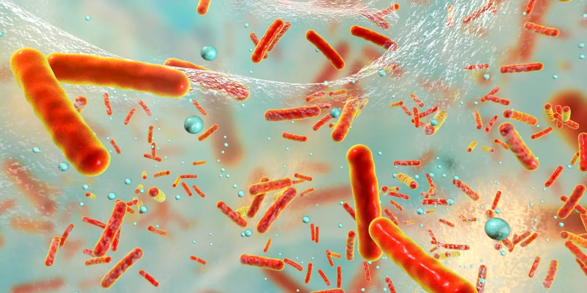 antibiotic resistant bacteria inside a biofilm, 3d illustration biofilm is a community of bacteria where they aquire antibiotic resistance and communicate with each other by quorum sensing molecules