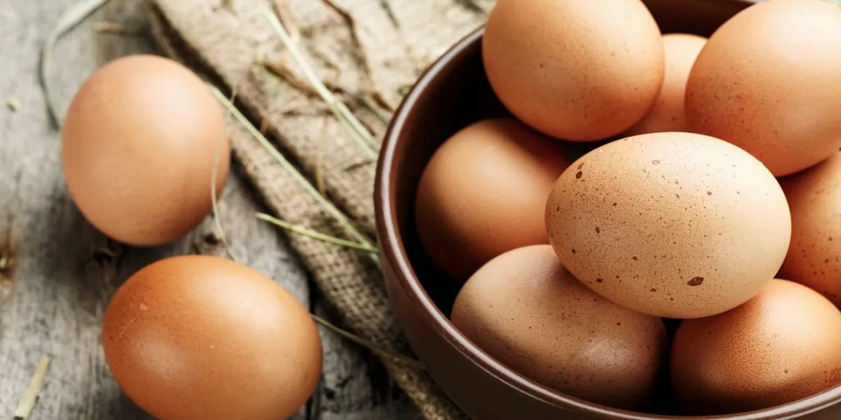 brown eggs in a plate rural scene