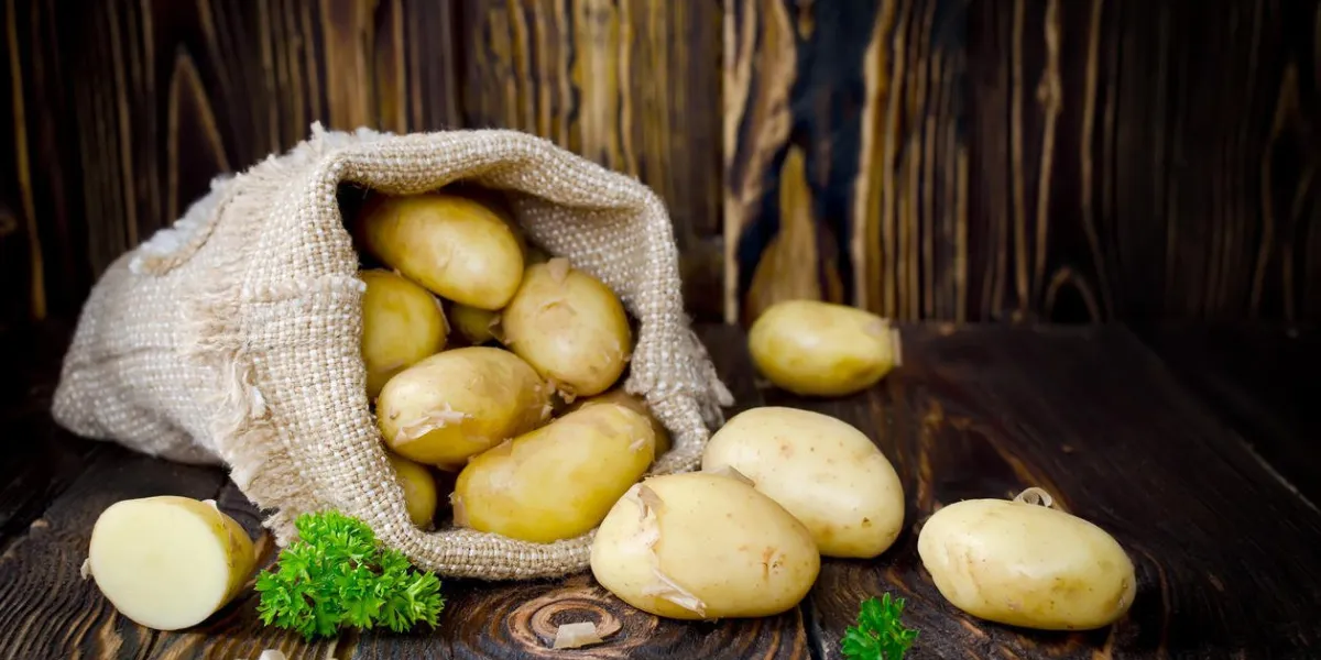 jeunes pommes de terre dans un sac sur une photo de table en bois avec espace copie
