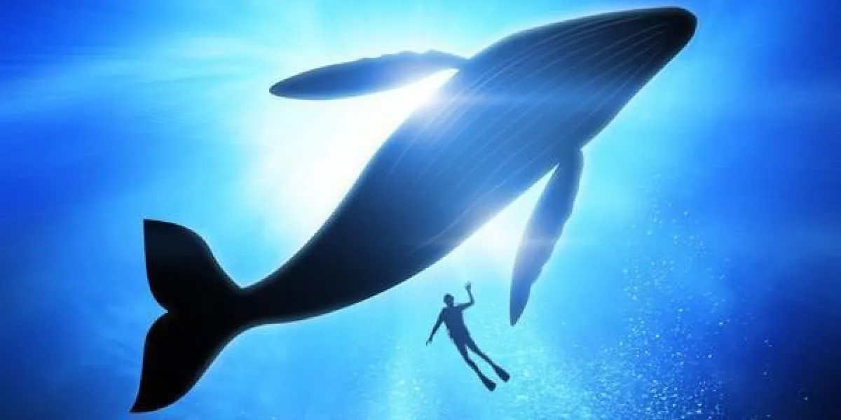 profondément sous l'océan, regardant vers le haut vers un plongeur et une baleine à bosse