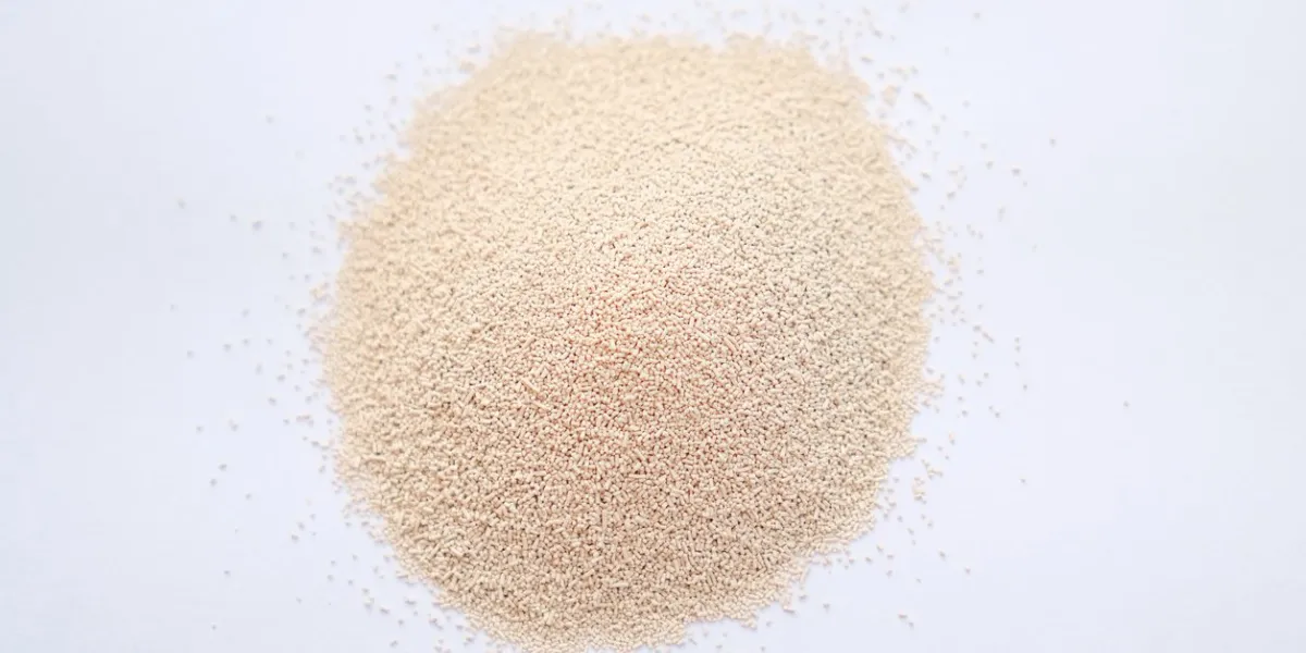 yeast in white background