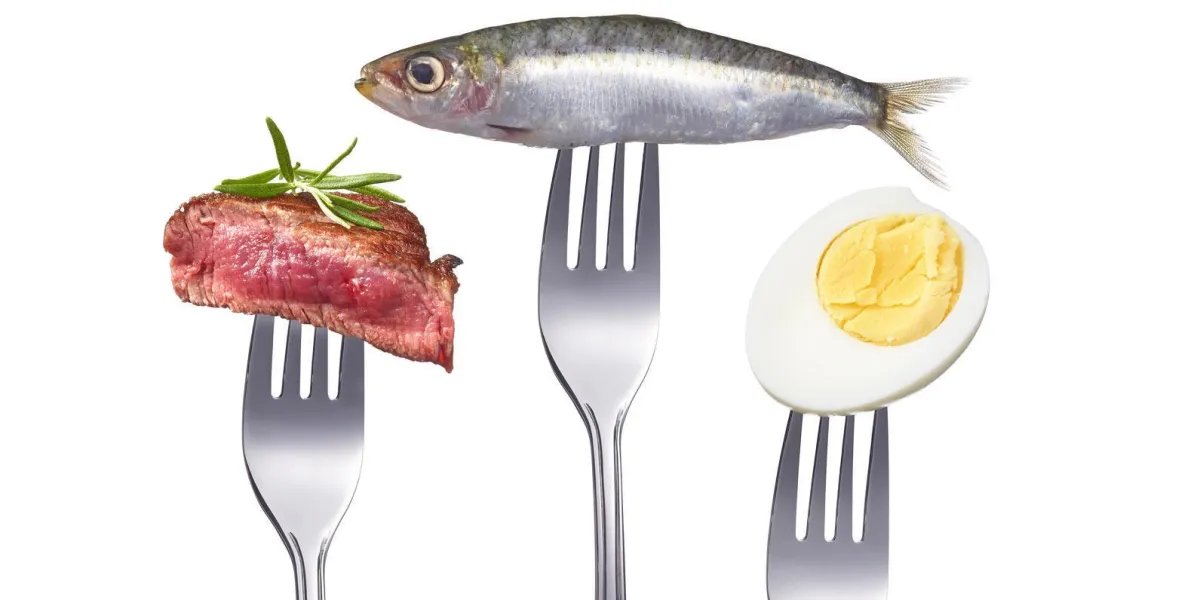 nourriture riche en protéines