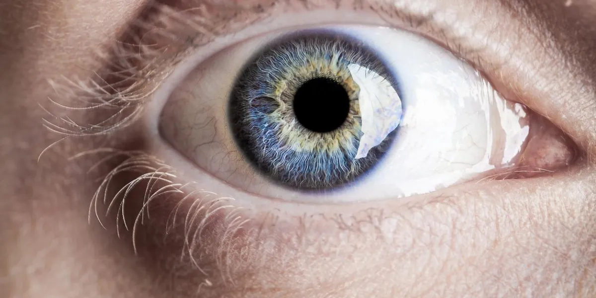 oeil bleu macro avec beaucoup de détails en utilisant des lumières de studio