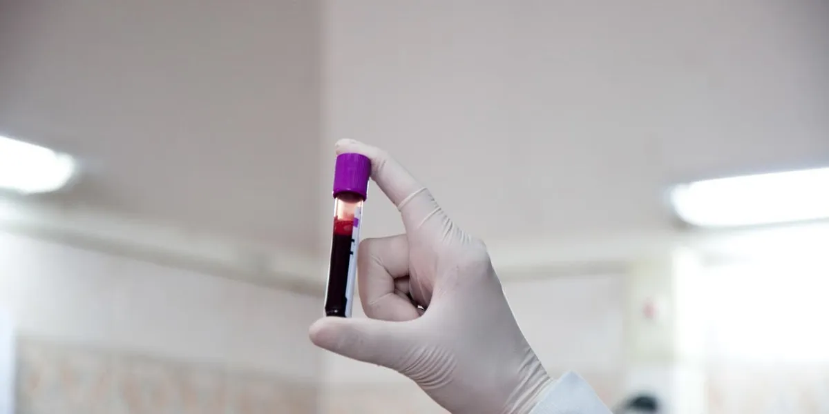 main tenant le tube à essai avec du plasma sanguin prêt à être testé