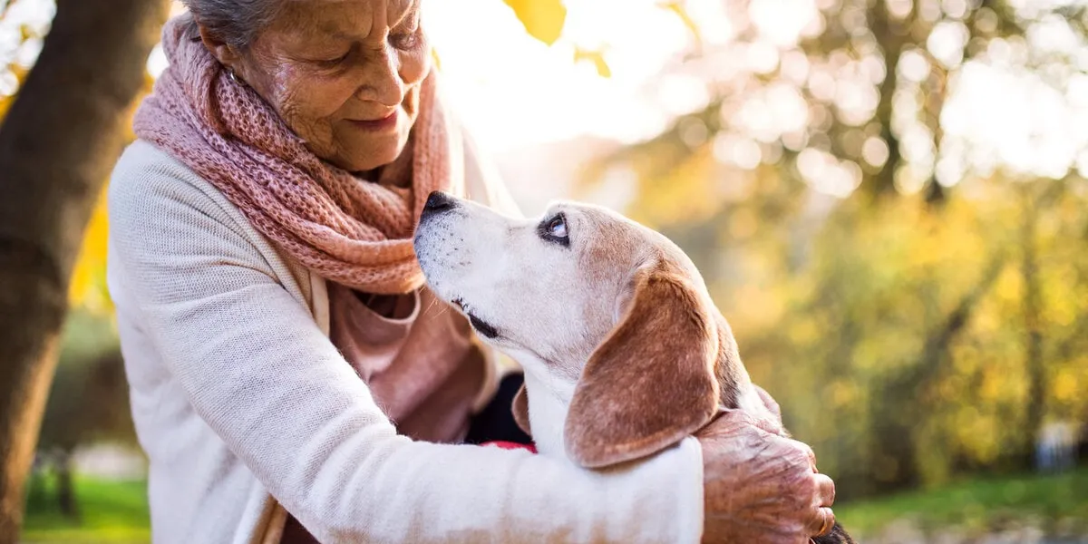 an elderly woman with dog in autumn nature senior woman on a walk