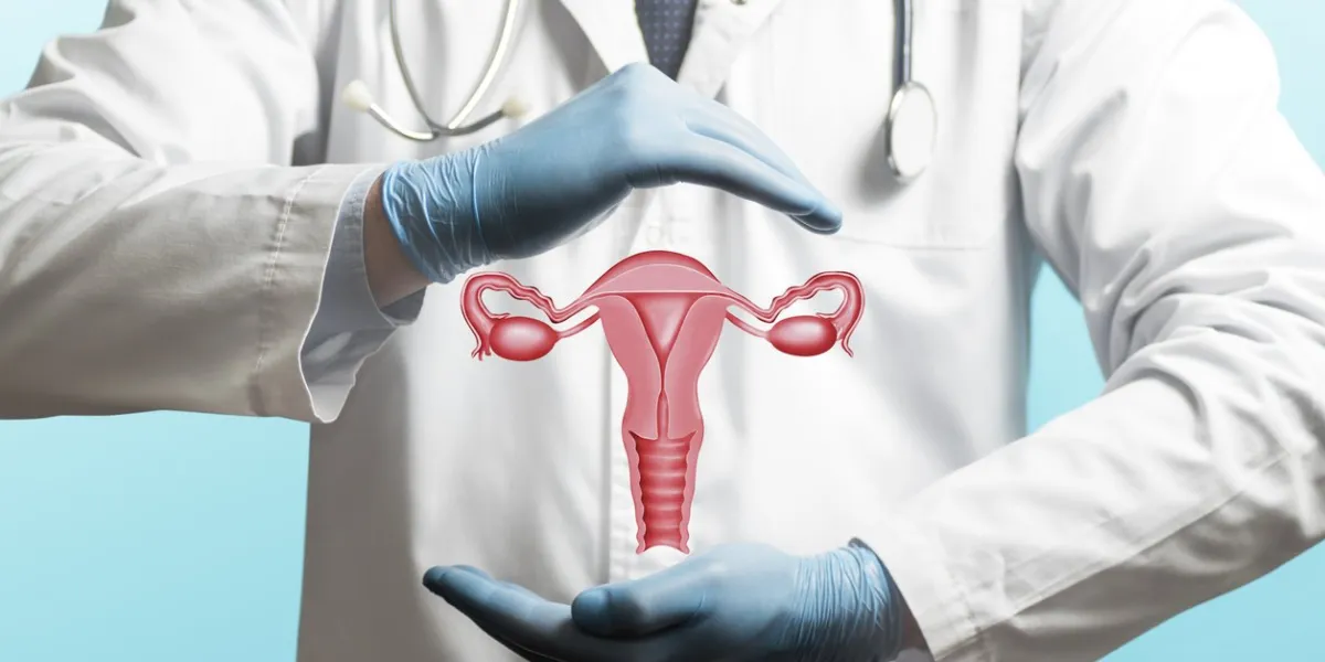image of a doctor in a white coat and model of the reproductive system of women above his hands concept of a healthy female reproductive system