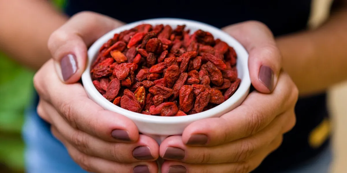 brunette model hand holding white pot with goji berry