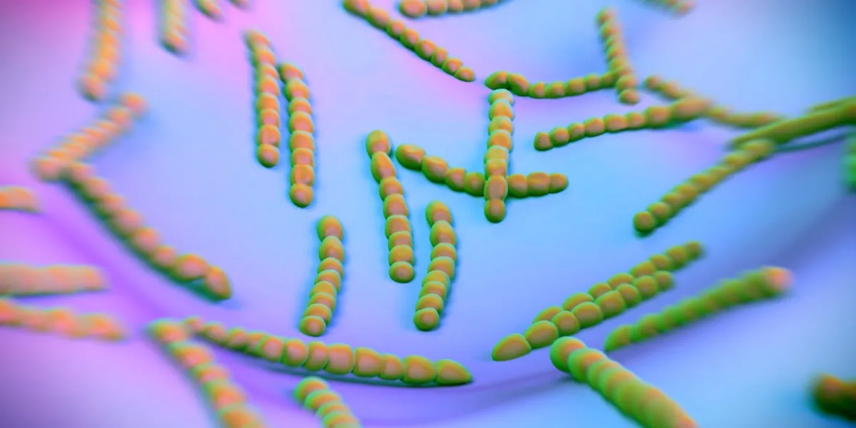 streptococcus pneumoniae, bacteria artwork