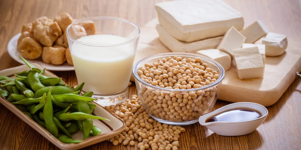 soy bean, tofu and other soy products