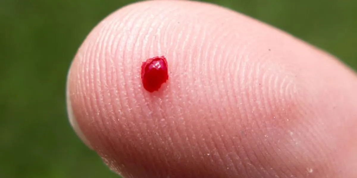 goutte de sang sur le doigt