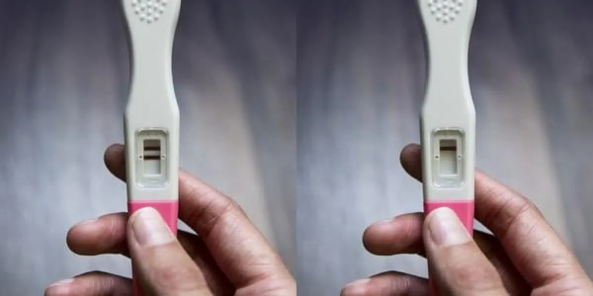 main tenant un test de grossesse positif (deux bandes) et négatif (une bande)