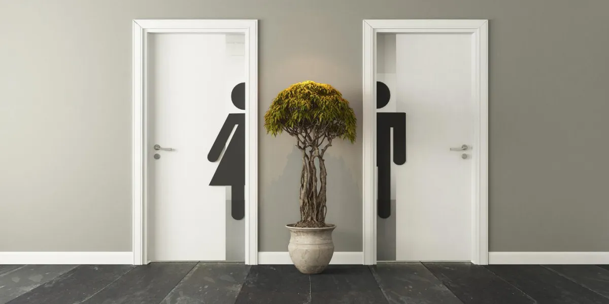 portes blanches de toilettes avec la conception 3d de mur et le rendu pour votre projet