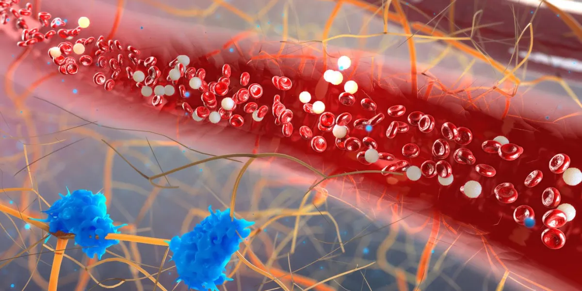 à l'intérieur du vaisseau sanguin, globules blancs à l'intérieur du vaisseau sanguin, rendu 3d de haute qualité des cellules sanguines, globules rouges et blancs dans l'artère