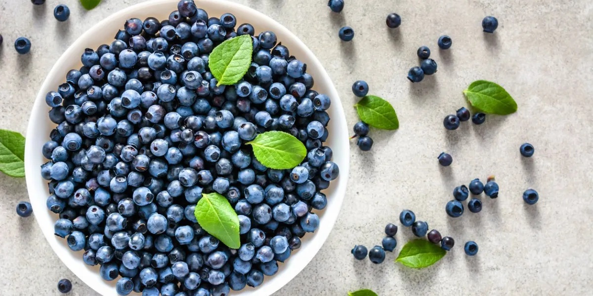 fresh blueberry on plate, organic food and healthy super foods concept