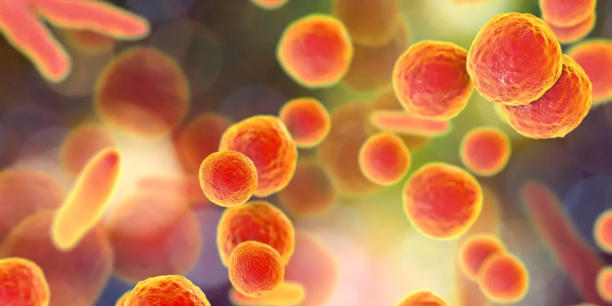 mycoplasma bacteria, 3d illustration showing small polymorphic bacteria which cause pneumonia, genital and urinary infections