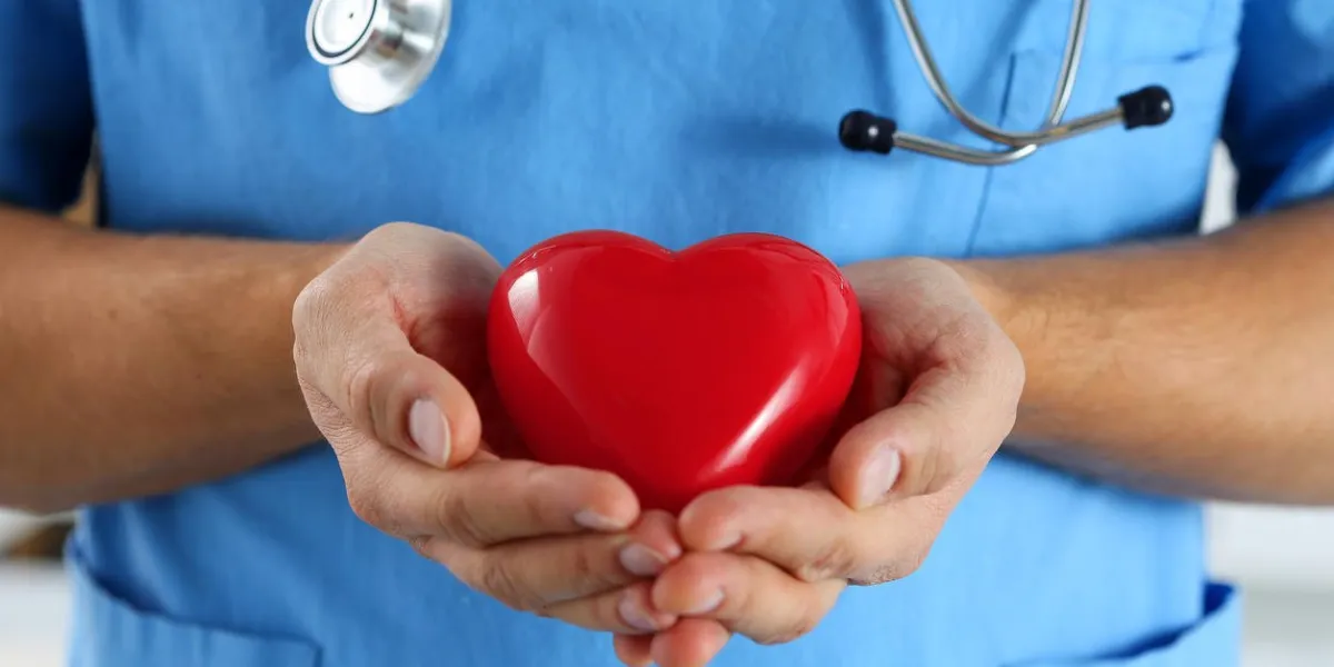 médecin de médecine masculine portant uniforme bleu tenir dans les mains et couvrir jouet rouge coeur closeup cardio thérapeute, médecin faire cardiaque physique, mesure de fréquence cardiaque, arythmie, concept de vieil âge