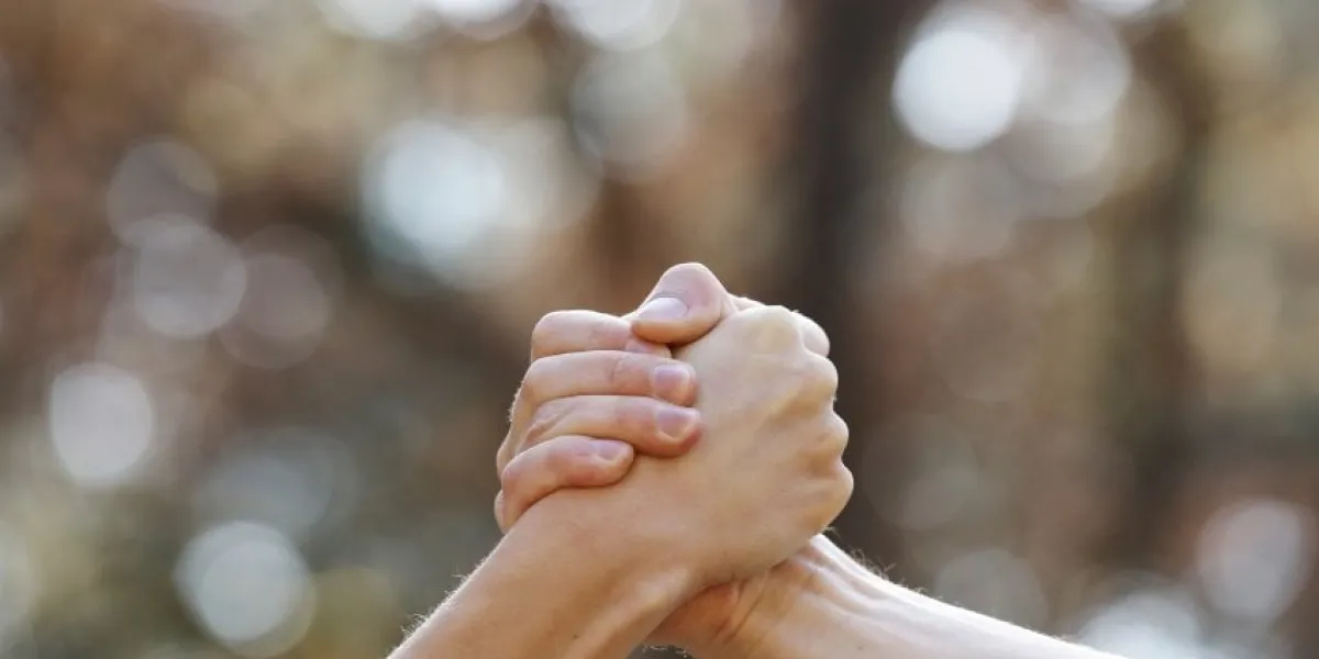 two people shaking hands isolated on a natural background in the park isolate two hands holding on another, signal of collaboration copy space selective focus