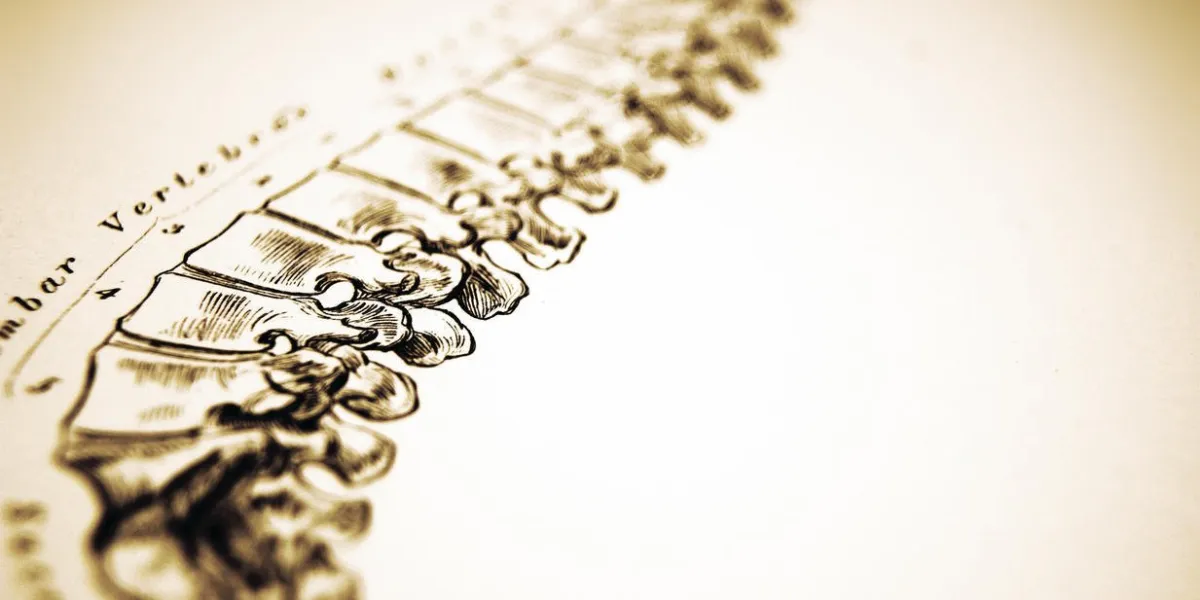 http thebrainstormlabcom bannières et bannerjpgdescription du photographe