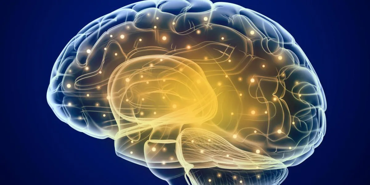 impulsions du cerveau processus de réflexion