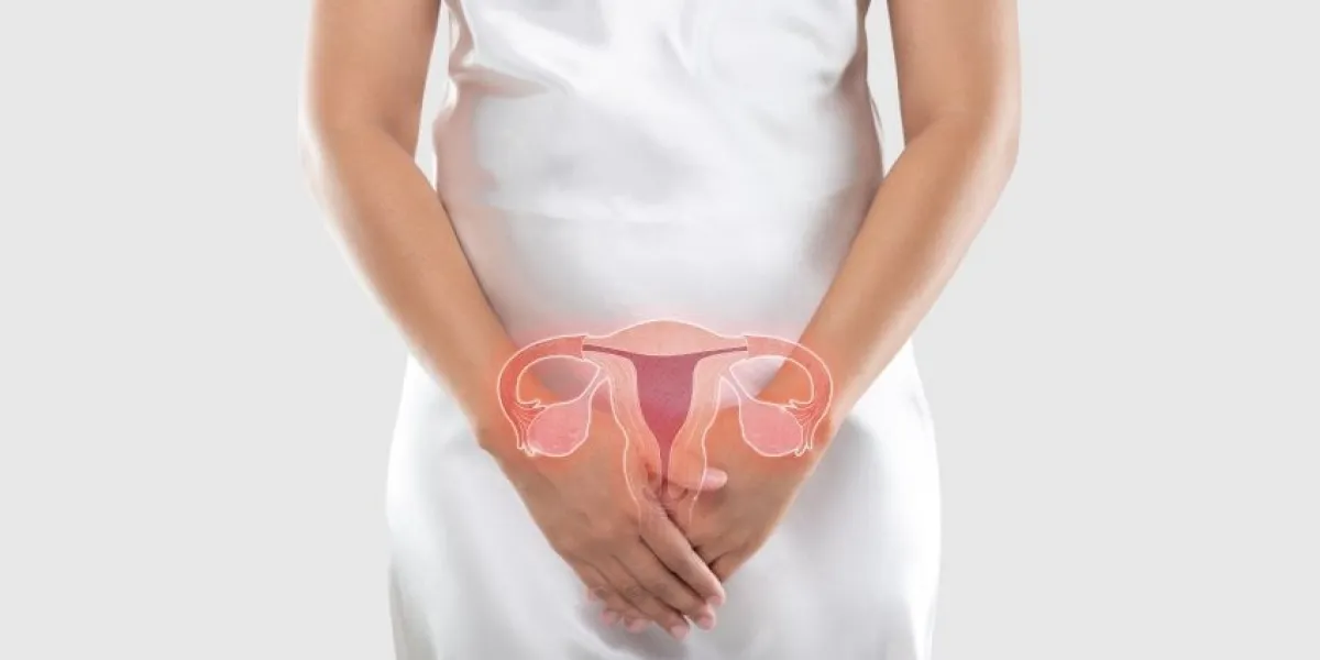 illustration of the uterus is on the woman's body, on a gray background, the female anatomy concept