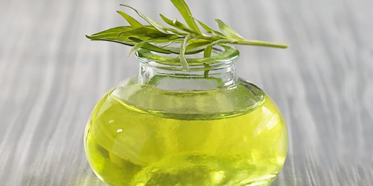 huile essentielle d'estragon