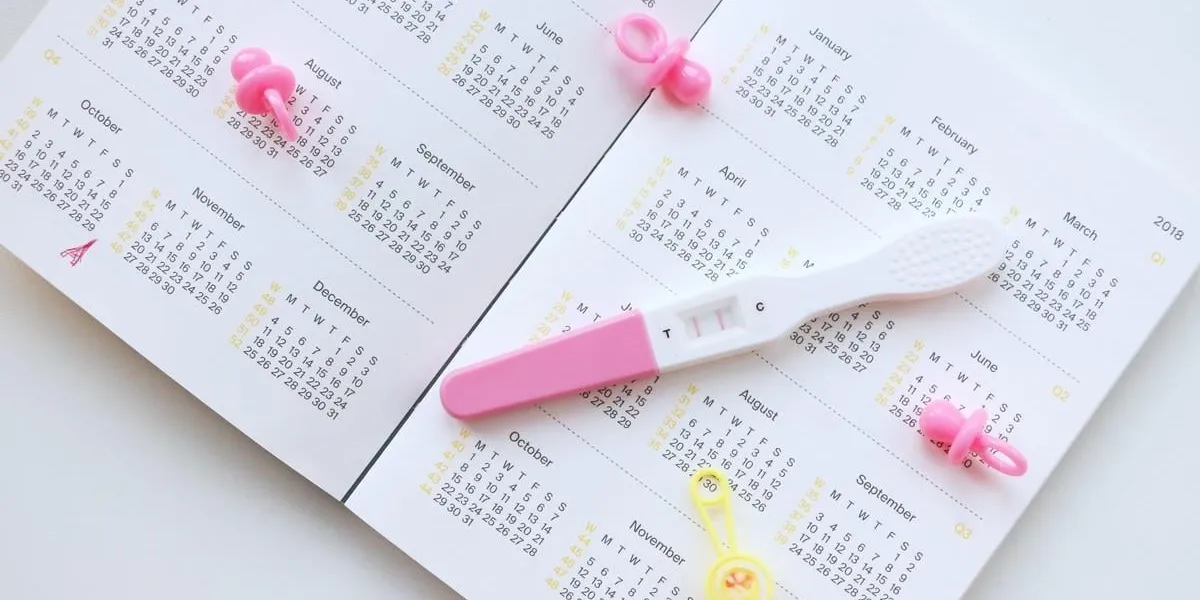 pregnant woman with pregnancy test watching calendar and calculating bith date