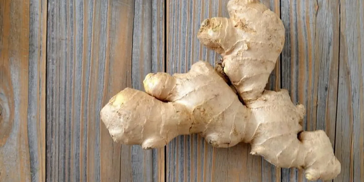 racine de gingembre