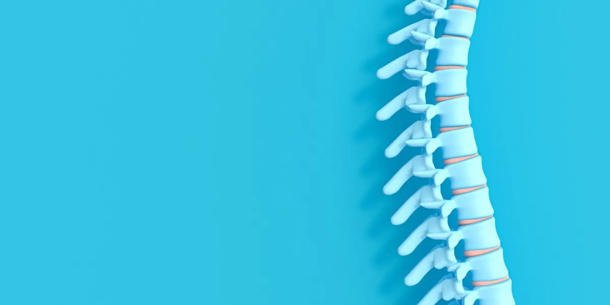 3d render image of a spine on a blue background concept of health and back problems