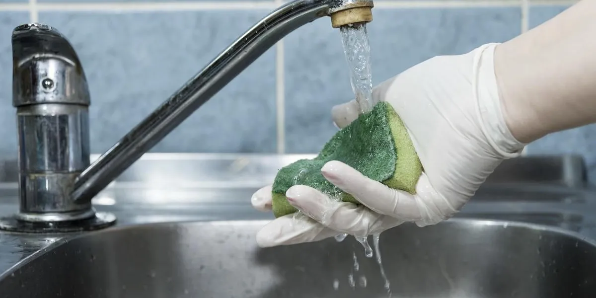 washung sponge in the sink