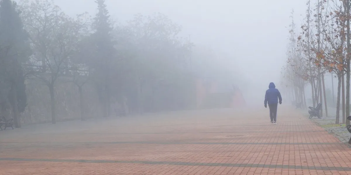 a person walking on a red brick sidewalk covered by fog