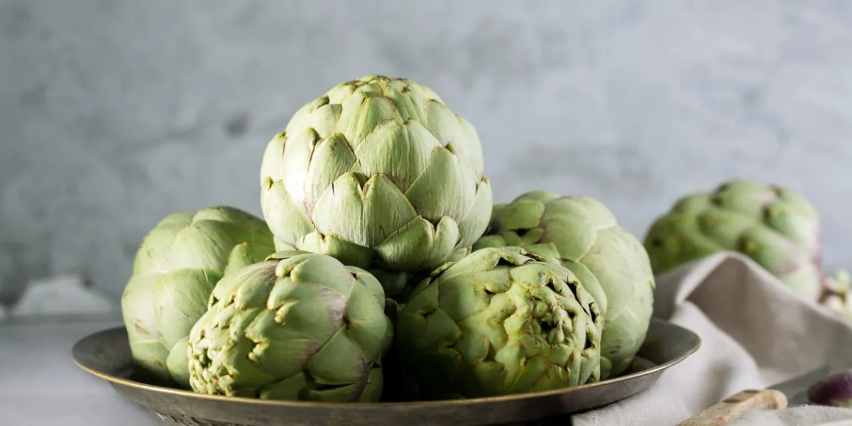 pile of green spanish or italian artichokes on the metal rustic plate and gray concrete background, close up