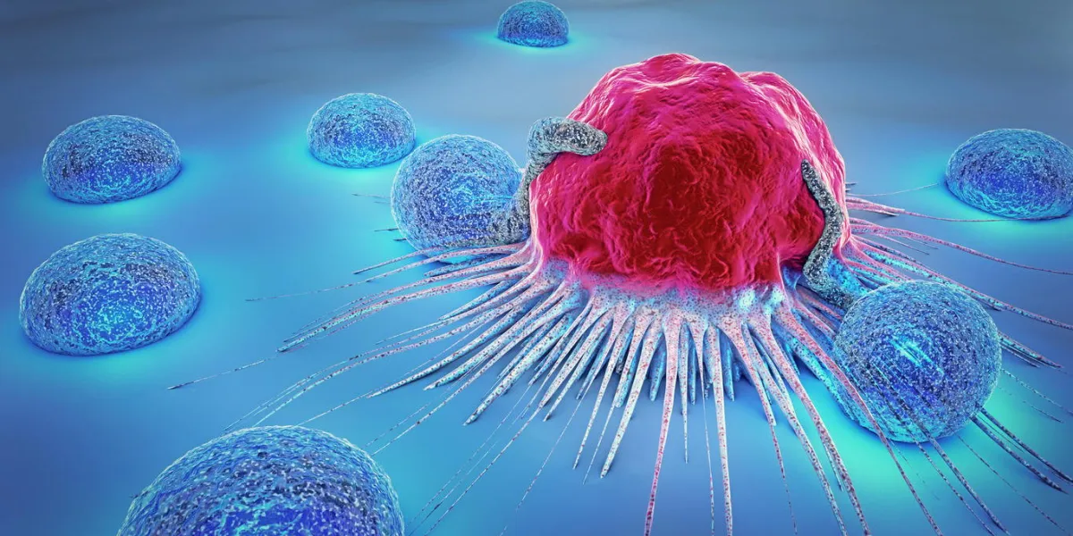 3d illustration of a cancer cell and lymphocytes