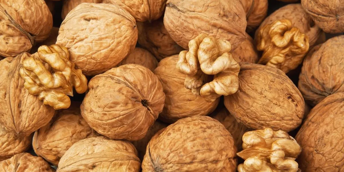 noyer cru et séché en tant que texture