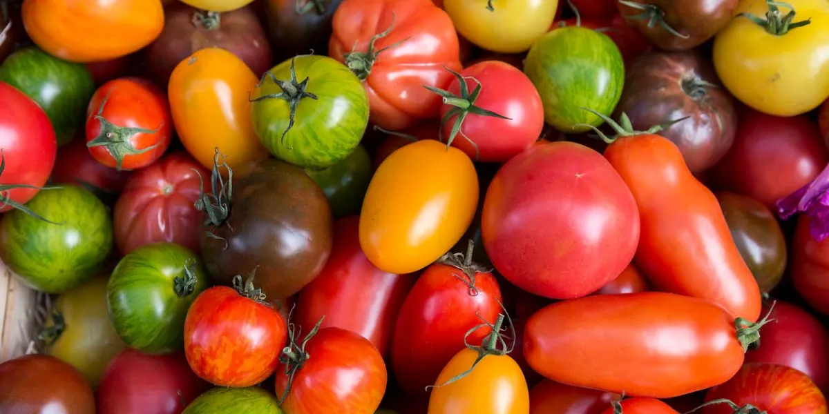 overhead view of mixed collection of tomatoes at a market stall in nice, france