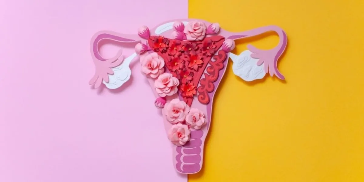 the concept of endometriosis of the uterus diseases of the female reproductive system health and disease are a beautiful art concept made of paper