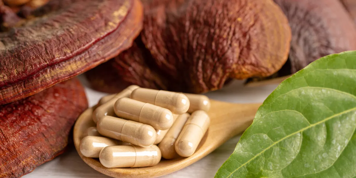 dried lingzhi mushroom with capsule drug, alternative medicine herbal organic herb