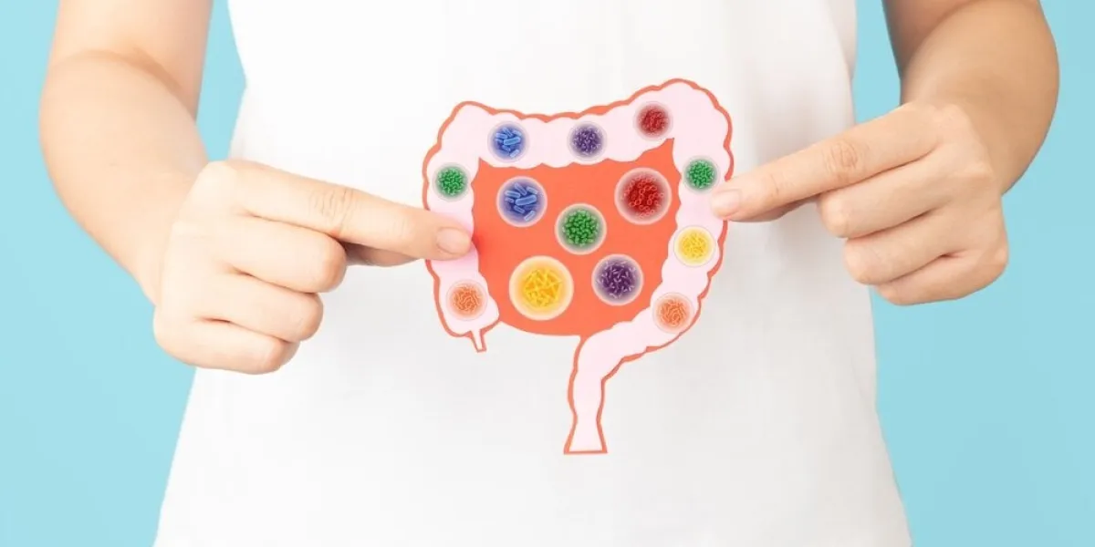 probiotics,health,benefits,intestine,of,woman,with,good,bacteria,set